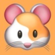 草客视频下载官方版APP应用